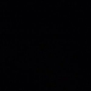 Meet your Posher, Rosa